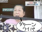 ダウーンワイパ