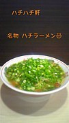 ϥϥ顼