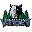 MINNESOTA TIMBERWOLVES (NBA)