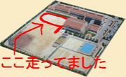 ������ܶ�ƻΦ�嶥����