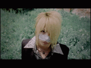 Cassis�λ��Ύ�����