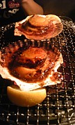 �ۥ��ƥХ��������Ƥ���