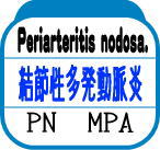 結節性多発動脈炎（PN、MPA）