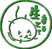 �����Ƥ롩