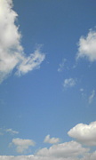 žư桪