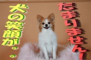 ���ξд餬���������ޤ�ޤ���