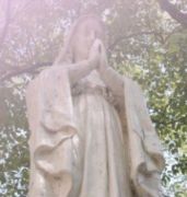 �����ر� ��48�������