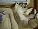 TECKY���ϣ¡��ϣǡ�