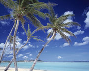 ι�Ԥ������� LA����