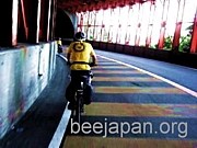 BEE JAPAN