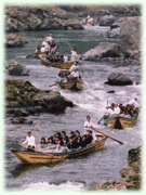 G.W.����BBQ����