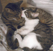 �Ǥ����夥