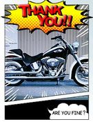 ʡ���ϡ��졼��ǥ�����