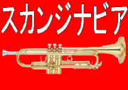 �����󥸥ʥӥ�