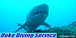 ģģӡDuke Diving Service