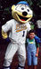 Burlington Bees