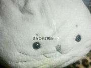 �Ĥ�����Ǥ���ʪ���򸫤�ʤ���