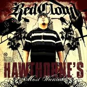 Hawthorne's