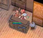 [RagnarokOnline]���龦�ͤν���