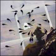 �����ޤ��㤯���äƲİ���