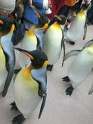 �����Ȥ��󤤤�ä��㤡����