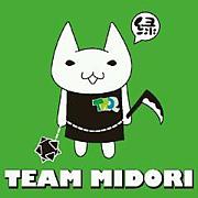 TEAM-MIDORI