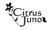 Citrus Juno