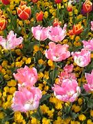 高齢者の為の施設と医療を考える