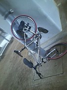 日本エッサッサ協会