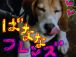 ♡�Фʤʎ̎ڎݎ���♡