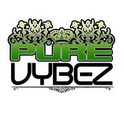 Pure Vybez ENT