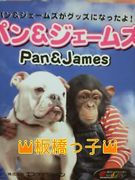 ｲﾀﾊﾞｼｰﾝ　集まれっ！！