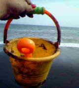 µ��������