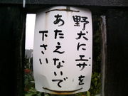 ƱϢ
