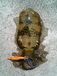 �ࡼ��󥰥���֡����أ�