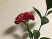 家事代行サービス