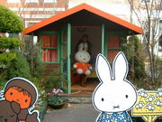 �㿴���ɤ�زʢ�