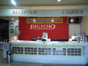  BIG ECHO ȾŹ