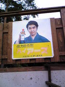 ����ˡ�����