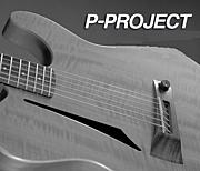 P-PROJECT