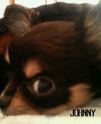 ����JOHNNY