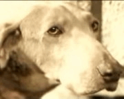 �����Υ��� [�ێإ���23��]