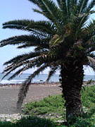 �����̎������since2005