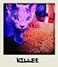 ����Killer���󢧢�
