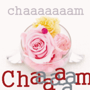 ��chaaaaaaam��