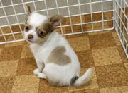 ���Х��㥤��28�Ȣ���