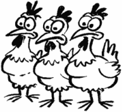 The Chickens