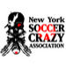 New Yorkサッカー狂会