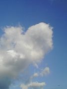 �ϵ�ζ��򰦤��Ƥ��