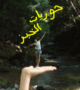 TEAMۥ֥(άΡ